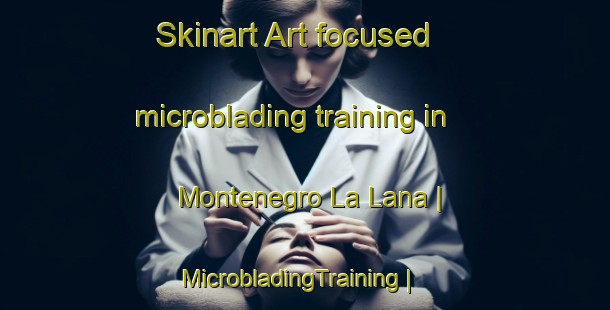 Skinart Art-focused microblading training in Montenegro La Lana | MicrobladingTraining | MicrobladingClasses | SkinartTraining-Mexico